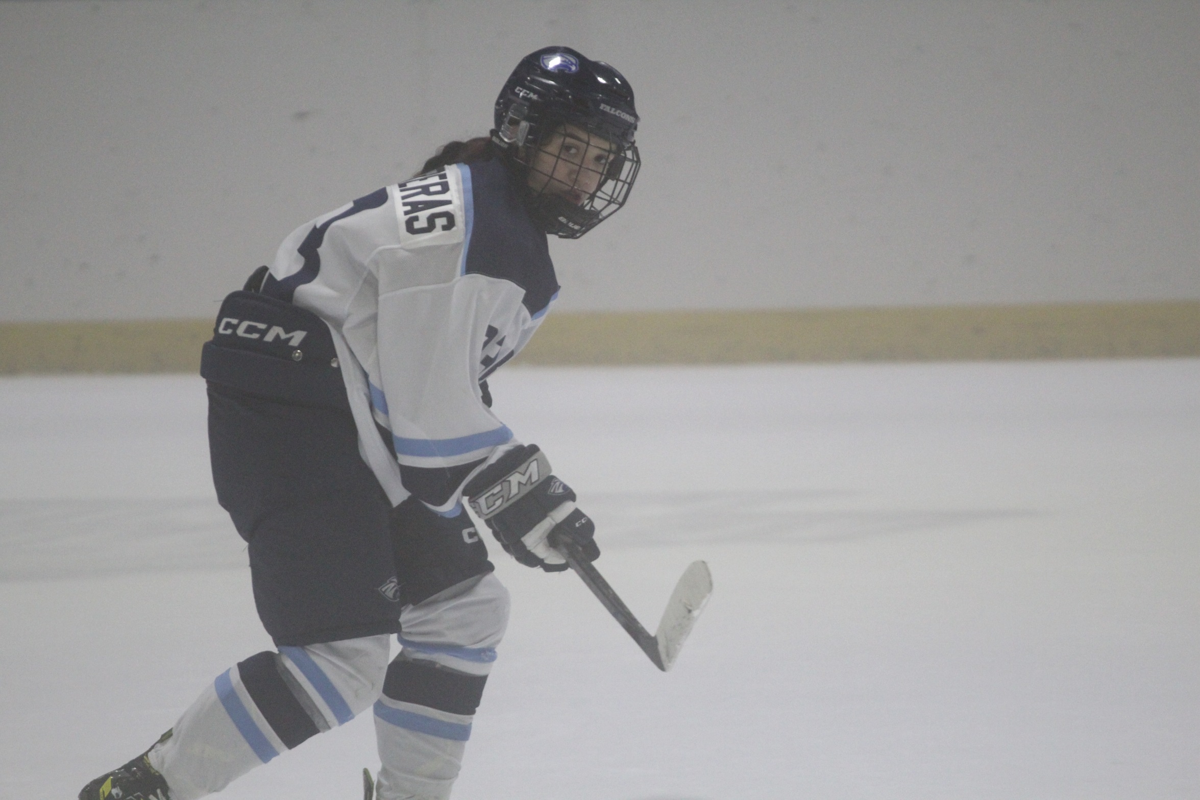 Women's Ice Hockey Edged In Viking Cup Final To Salem State