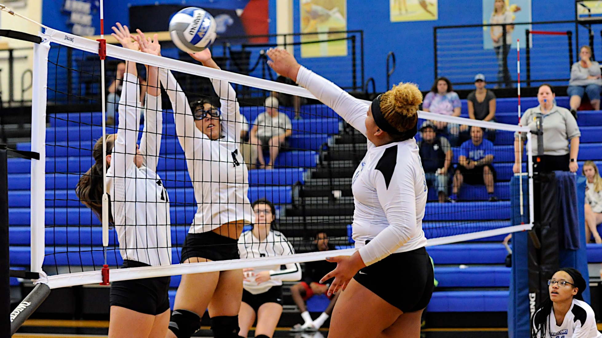 Women's Volleyball Sweeps In-State Rival Saint Joseph's (Conn.)