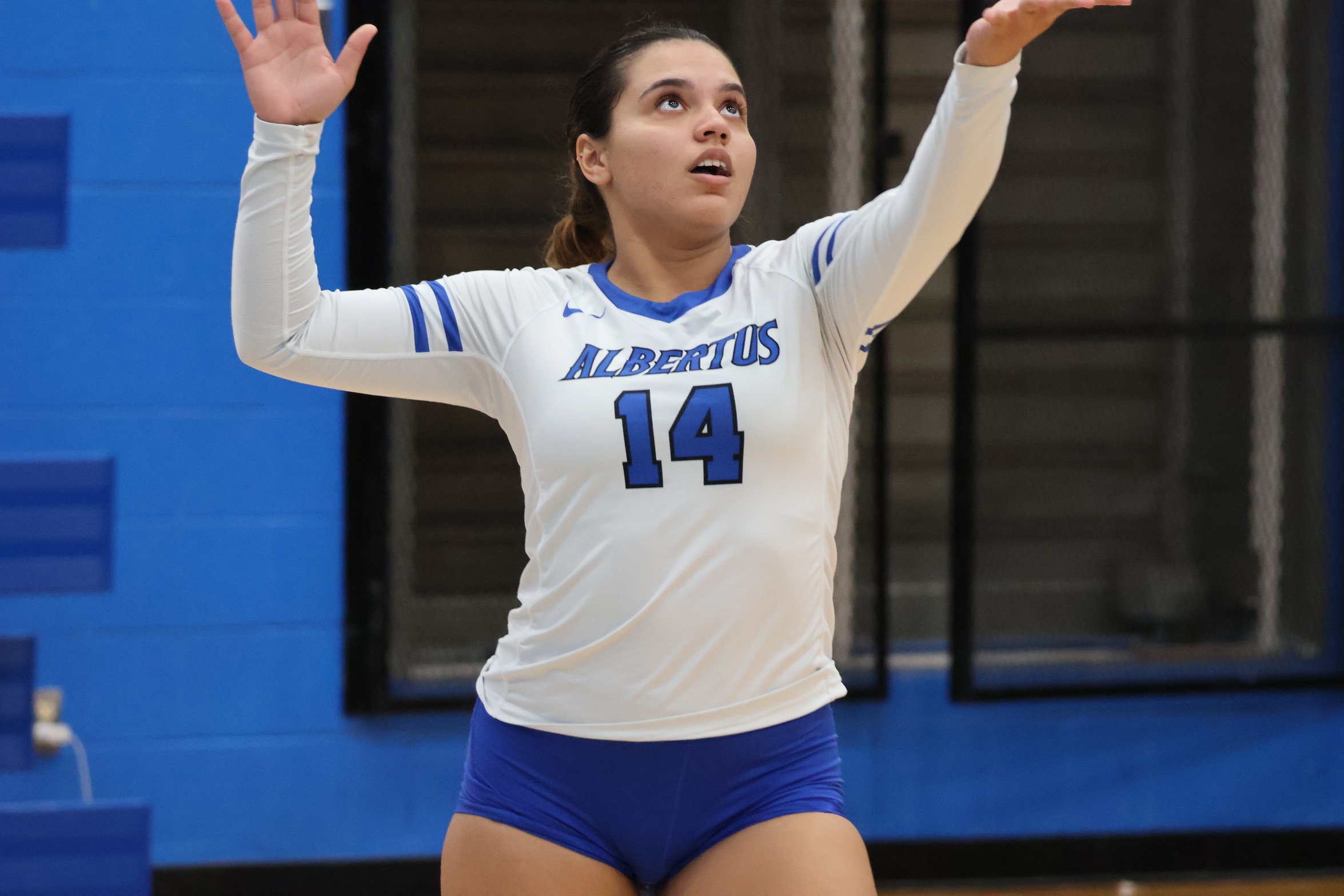 Volleyball Swept By Framingham State