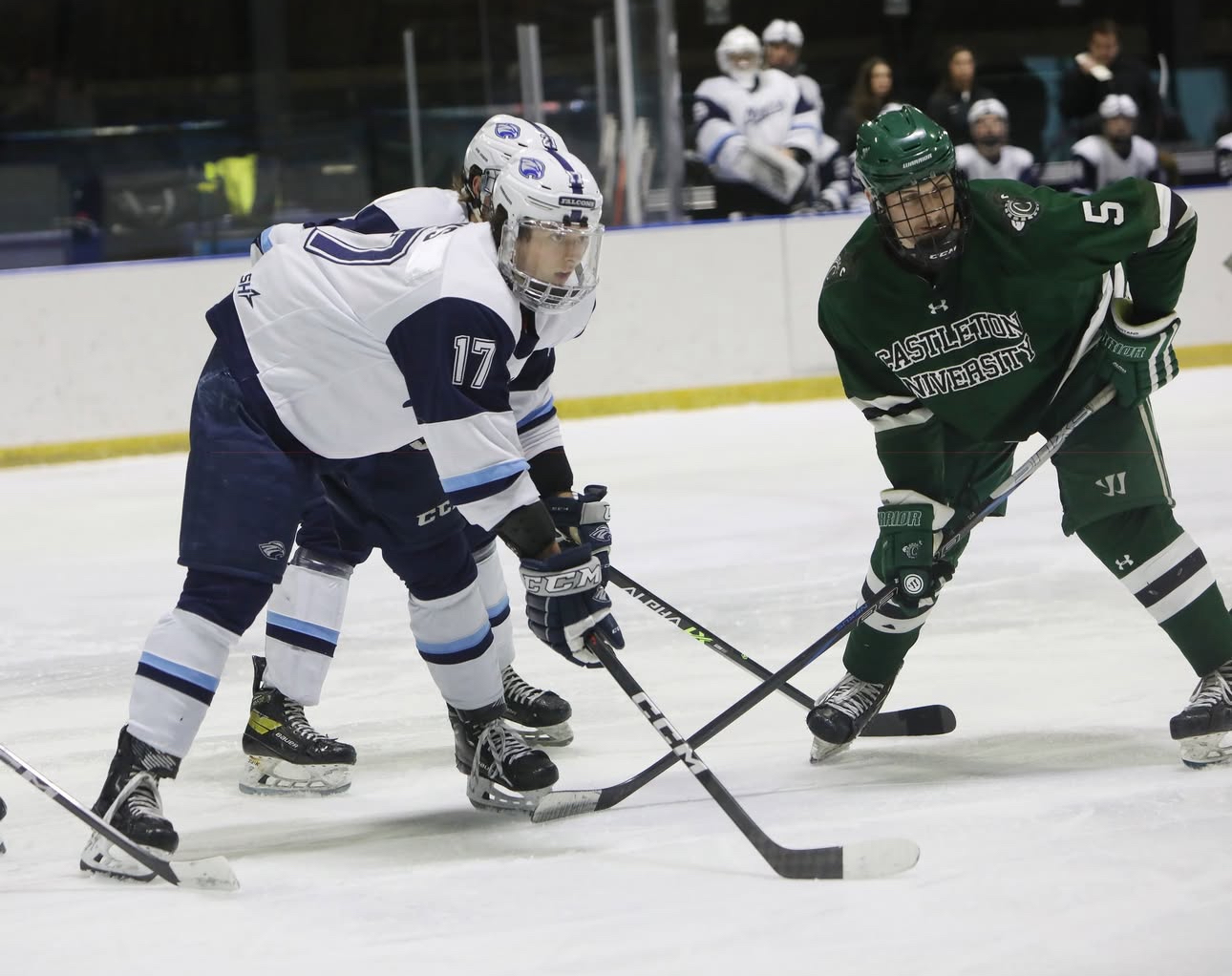 Men's Ice Hockey Draws With No. 11 Elmira