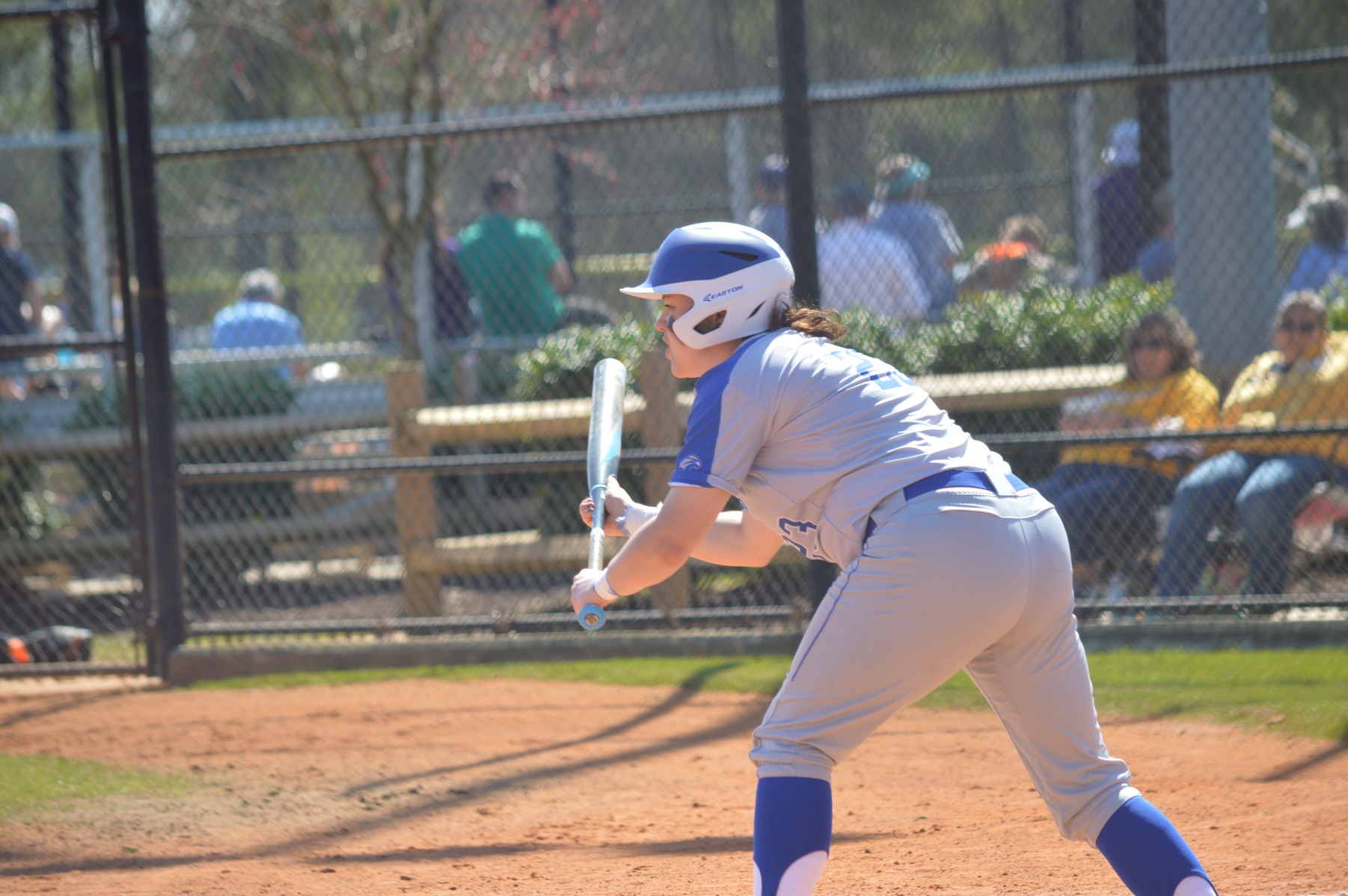 Falcon Softball Takes Doubleheader from Brooklyn College