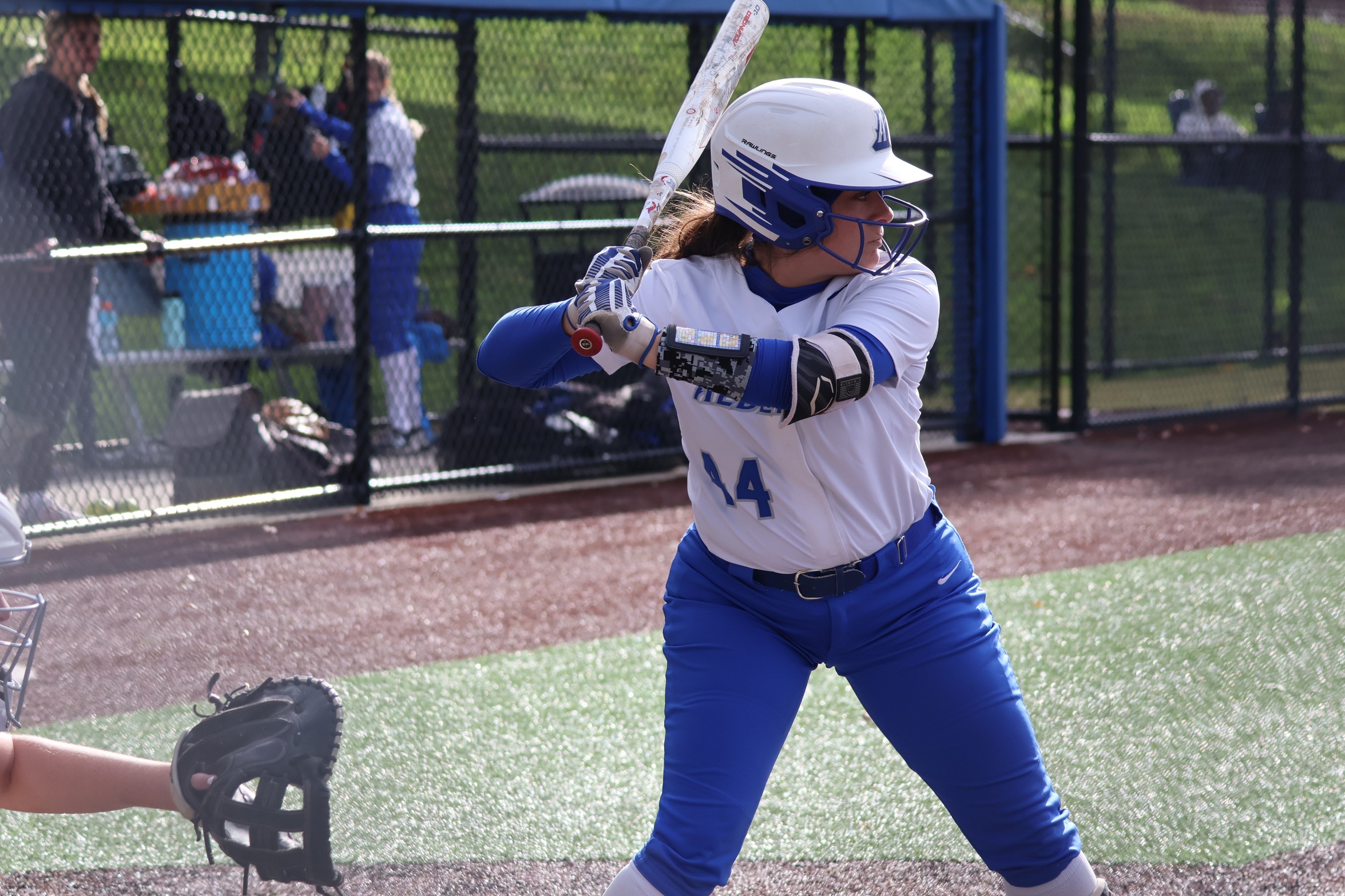 Falcons Overpower Bulldogs in Doubleheader Sweep to Open GNAC Action