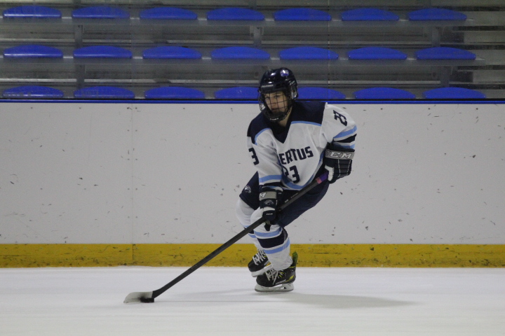 Women's Ice Hockey Leads Early, But Falls To Wilkes