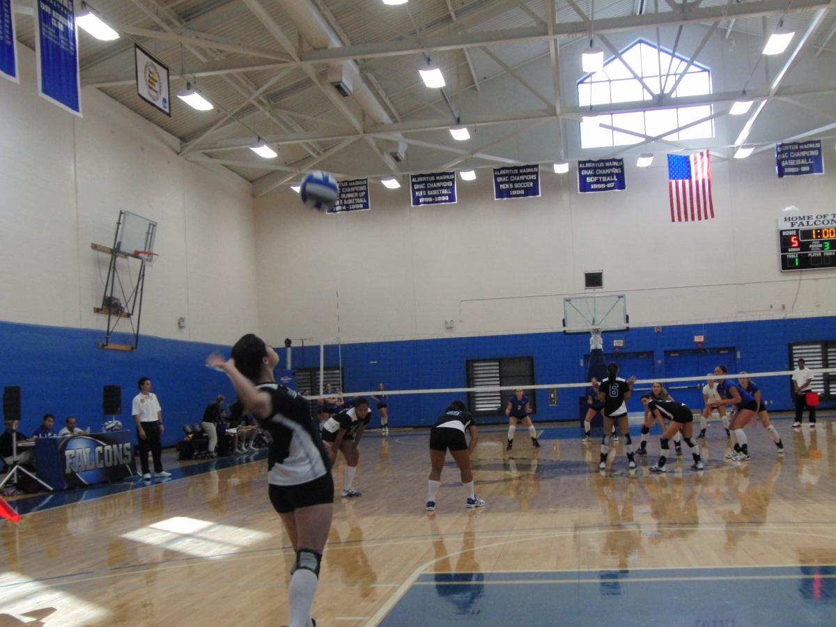 Lady Falcons Drop Trimatch to Emerson and Suffolk