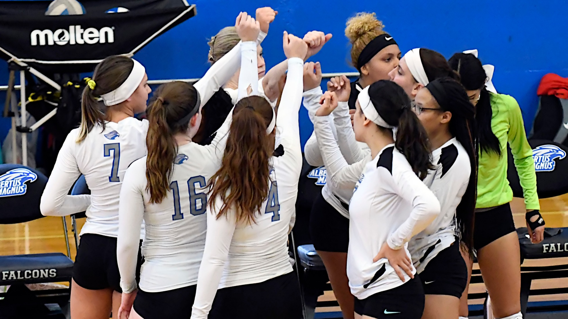 Women's Volleyball Falls at Home to Regis in Conference Play