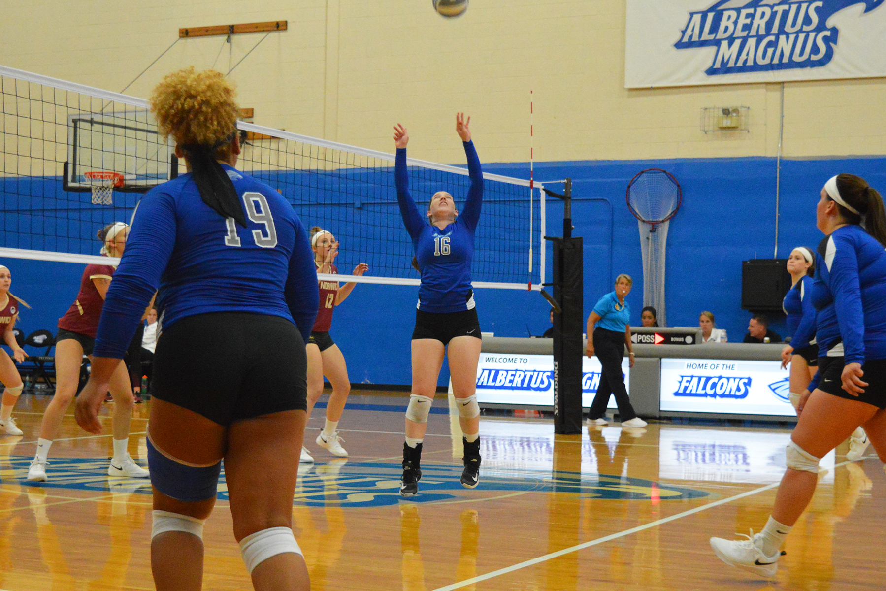 Women's Volleyball Falls to both Elms and SUNY Cobleskill to Begin Blazer Invitational