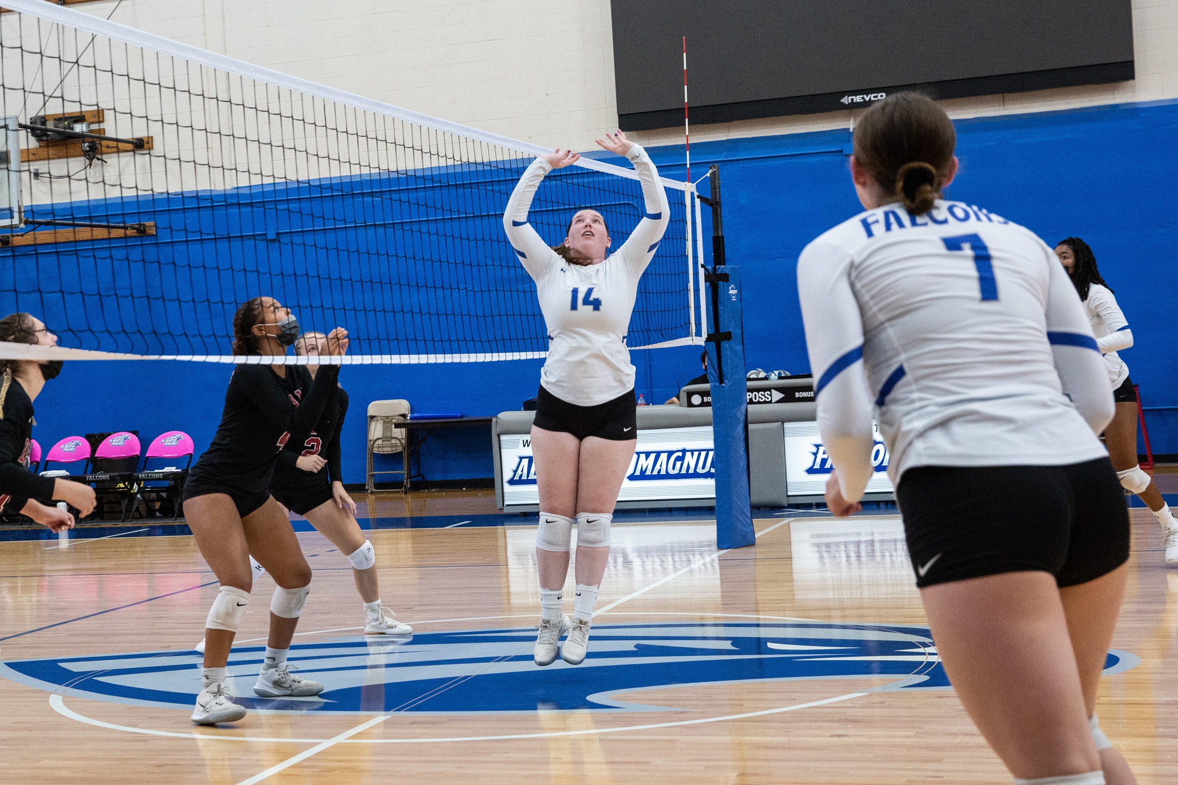 Women's Volleyball Tripped Up by Visiting Blue Jays, 3-1