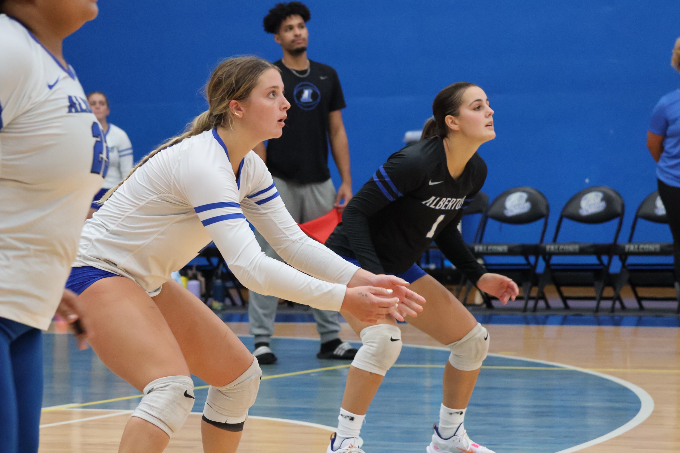 Albertus Volleyball Downed In Straight Sets Against Elms In GNAC Opener
