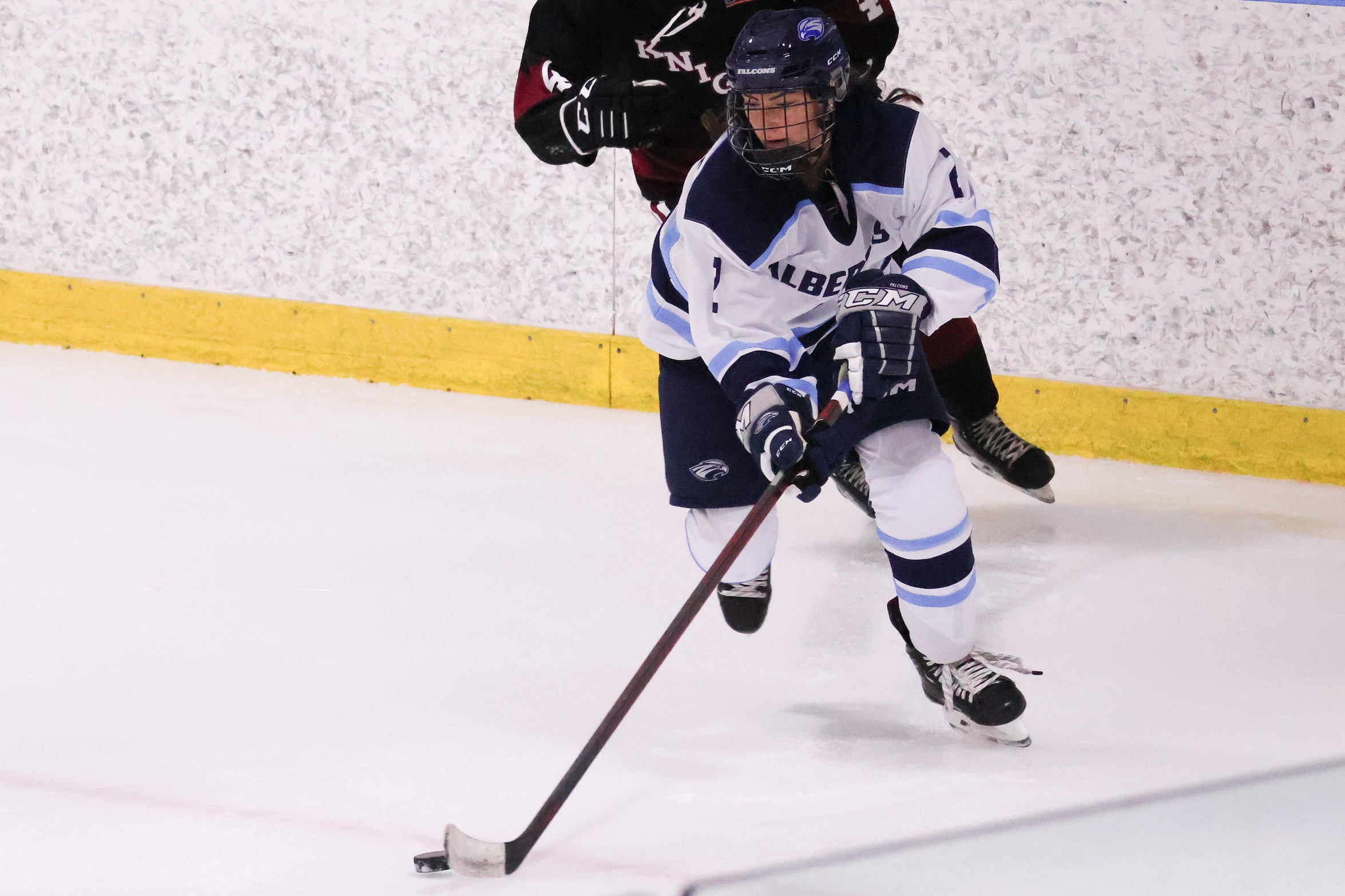 Women’s Ice Hockey Defeated by William Smith, Dellacroce Scores First Career Goal