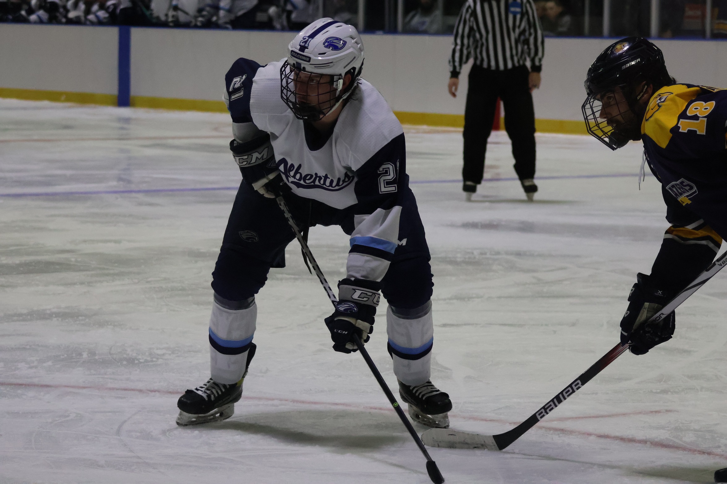 Men’s Ice Hockey Drops Road Contest to Wilkes
