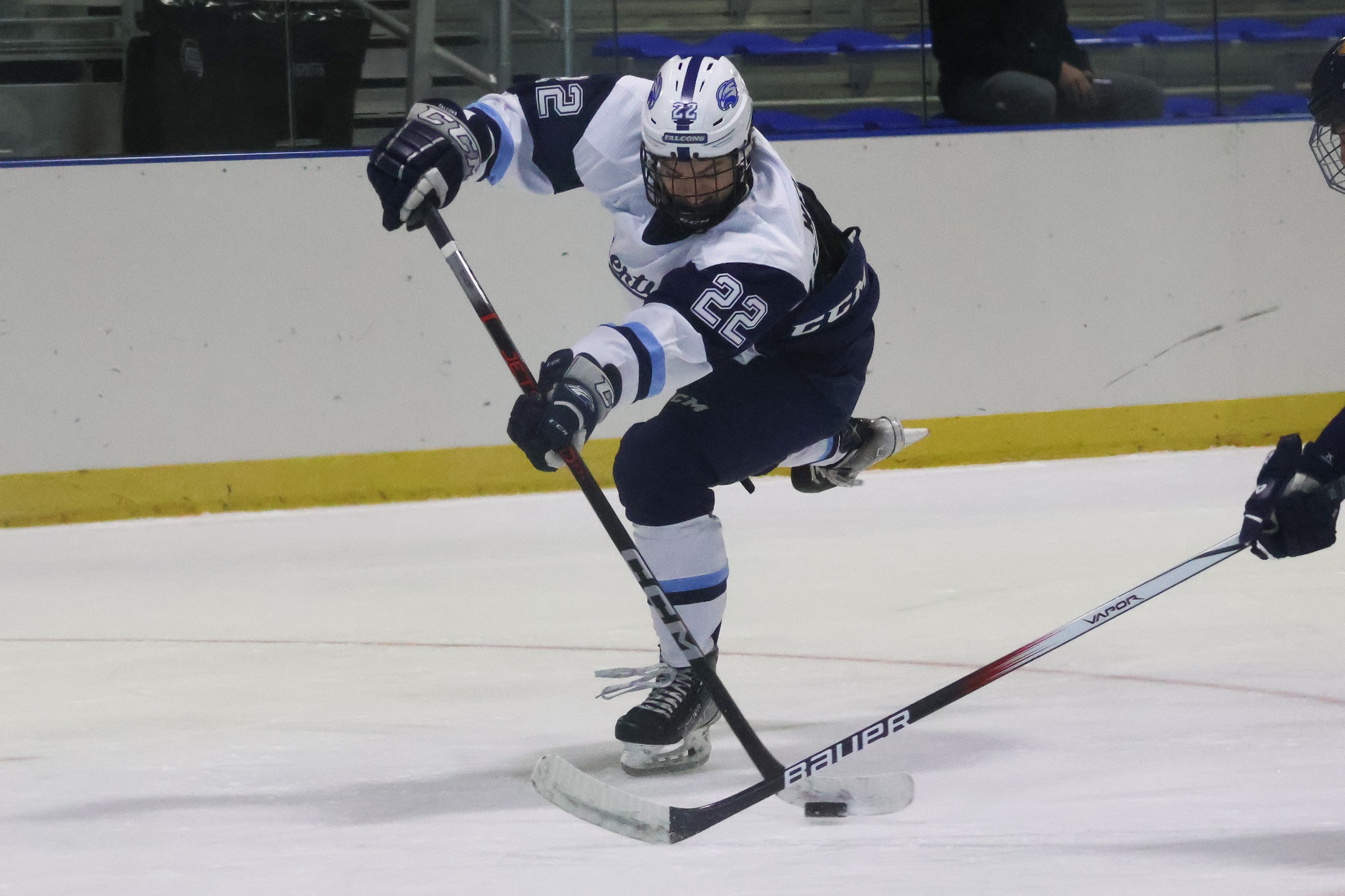 Men's Ice Hockey Wins Third-Straight, Falcons Soar Over The Camels