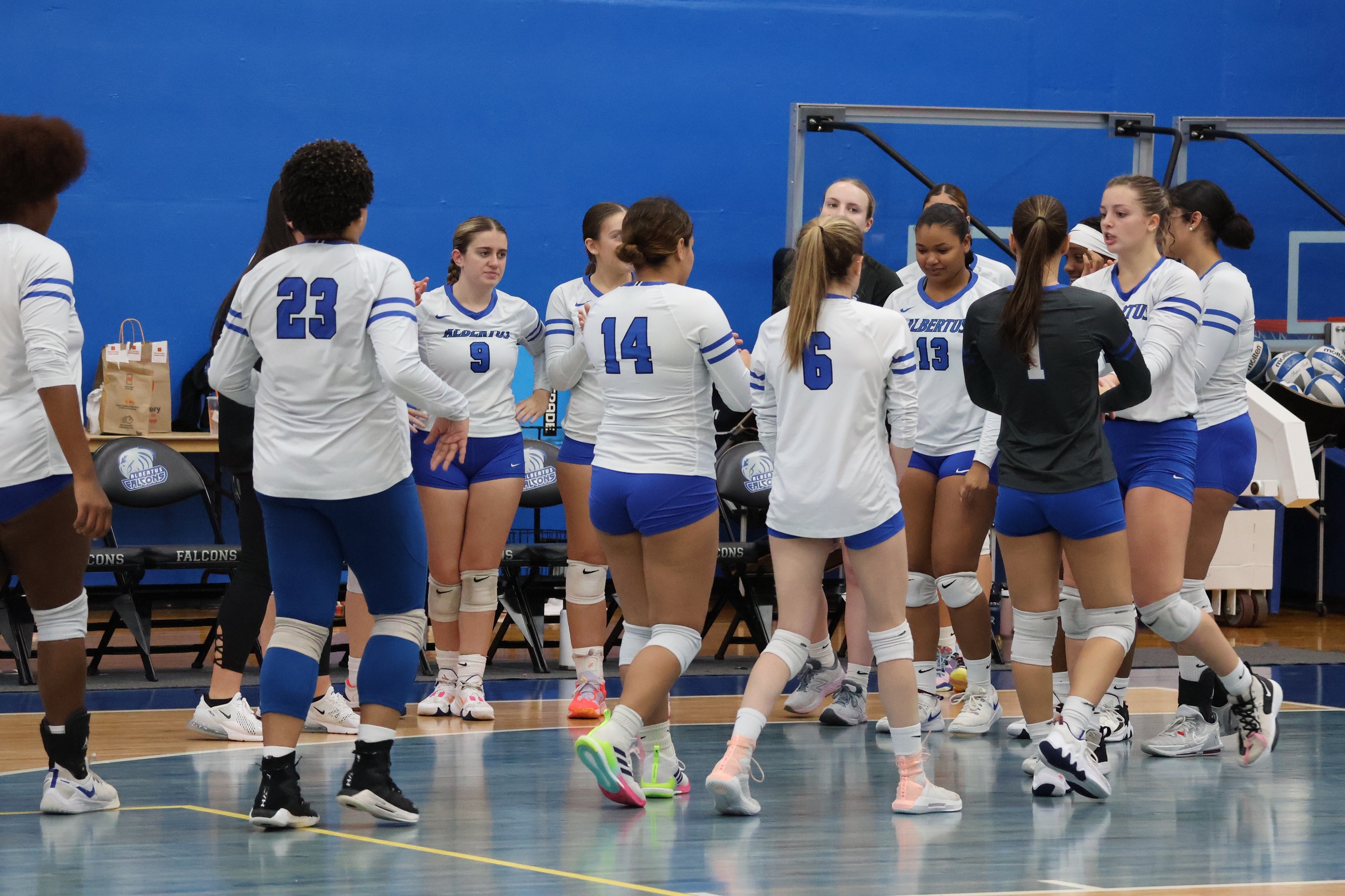 Volleyball Concludes Season With GNAC Losses To Regis And Colby-Sawyer